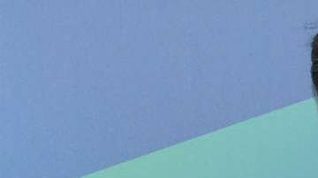 Derbez sigue haciendo carrera en Hollywood.