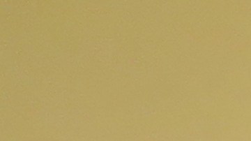 Guadalupe Castillero junto a sus hijos Selena, de 16 años, Guadalupe, de nueve y Jeter, de seis, espera la pronta liberación de su esposa, Concepción Torcaz, quien fue detenida dentro de su apartamento en Bushwick, el 11 de abril de este año.