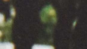 Elizabeth permaneció 10 días encerrada en un armario, sin ropa, y a temperaturas extremas.