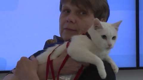 El famoso gato Aquiles vaticinó el triunfo de Nigeria y la eliminación de Argentina