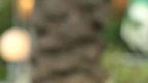 Scott Disick y Sofia Richie.