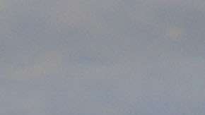 Un cocodrilo americano flota en el agua cerca de Homestead, Florida.