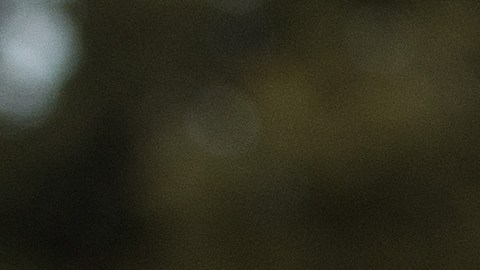 En febrero de 2017, Matthew Levatich, CEO de Harley-Davidson, se reunió con el presidente Trump.