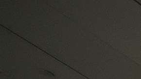 En febrero de 2017 se generó caos en varios aeropuertos de EEUU.