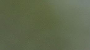 Juez Kennedy, 81 años de edad.