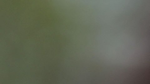 Juez Kennedy, 81 años de edad.