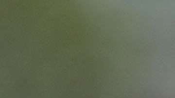 Juez Kennedy, 81 años de edad.