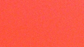 Michelle Obama coincidió con Laura Bush sobre la política migratoria de Donald Trump.