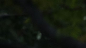 Ivanka Trump ha sido criticada por publicar imágenes de ella y sus hijos en medio de la crisis migratoria.