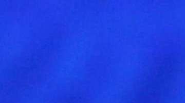 Trump Jr. presenta orgullosamente a su nueva novia tras su separación