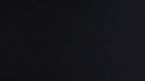 Enite Alindor engañó a USCIS durante años hasta conseguir su ciudadanía