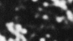 Einstein ganó el Premio Nobel de Física por su teoría del efecto fotoeléctrico.