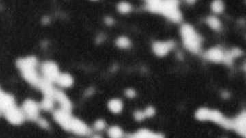 Einstein ganó el Premio Nobel de Física por su teoría del efecto fotoeléctrico.