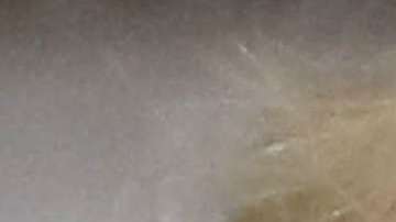 Trump pide que Samantha Bee sea despedida como ocurrió con Roseanne Barr