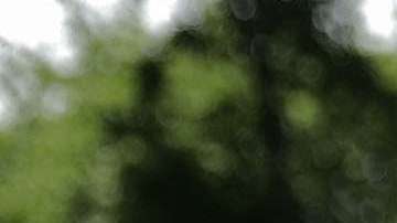 La cumbre se llevará a cabo este 12 de junio en Singapur