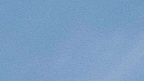 Trump podría terminar riendo de último en el tema de las familias migrantes, explican expertos.