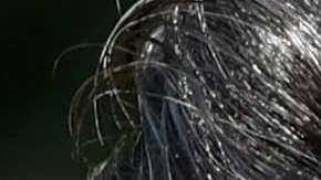 Trump hizo estas desafortunadas declaraciones en la cumbre del G7