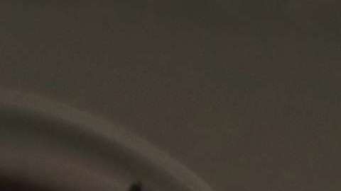 En el audio se pueden escuchar a los menores gritando "Mami, Papi"