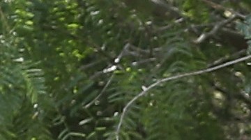 Los niños son separados de sus padres cuando ingresan por la frontera sur.