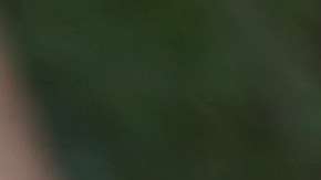 El gobierno de EEUU ha retenido alrededor de 2,000 niños.