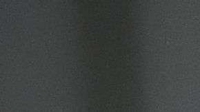 Una seguidora polaca durante el partido Polonia-Senegal en Rusia 2018.