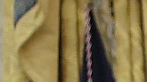 El presidente Trump firmó la orden ejecutiva este miércoles.