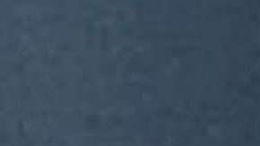 La rata decidió comer dinero hasta la muerte.