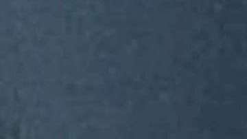 La rata decidió comer dinero hasta la muerte.