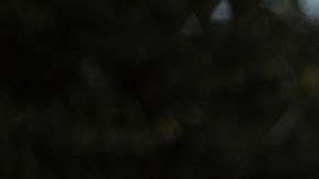 Una vigilia de oración frente a Casa Padre, un centro para niños inmigrantes en Texas.