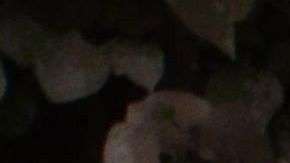 Agentes de policía trabajan en el pueblo El Rodeo, departamento de Escuintla, después de la erupción del volcán.