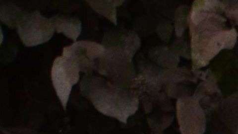 Agentes de policía trabajan en el pueblo El Rodeo, departamento de Escuintla, después de la erupción del volcán.