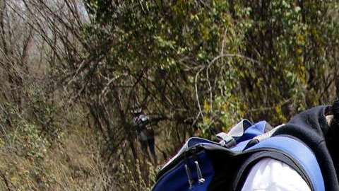 La organización civil busca a personas desaparecidas en la entidad.