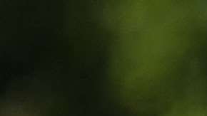 Diego Reyes está de vuelta en los entrenamientos con la selección mexicana