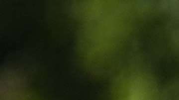 Diego Reyes está de vuelta en los entrenamientos con la selección mexicana