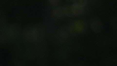 La selección mexicana tuvo su última práctica, antes de enfrentar a Dinamarca