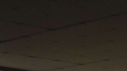 Raúl Jiménez jugará con el Wolverhampston de Inglaterra