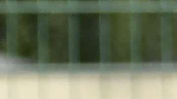 Juan Carlos Osorio dirigió el último entrenamiento de la selección mexicana en otro campo