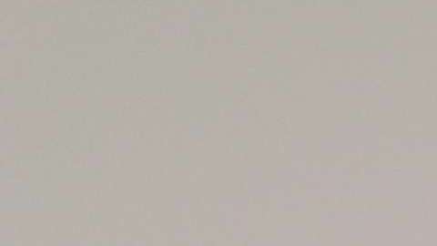 María Teresa Kumar, presidente de "Voto Latino"