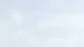 La protesta forma parte de una campaña nacional contra la separación de familias.