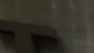 Coordinador de Coalición Nuevo Santuario de NY, Juan Carlos Ruiz acompaña a Selena Luna (hija de Torcaz) y a su padrastro, Guadalupe Castillero a la corte de inmigración donde Concepcion  Torcaz, esposa de Castillero, tendrá una cita con el juez.