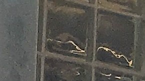 Fin del año escolar 2018