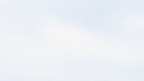 En NYC hay 38 estaciones de transferencia de residuos