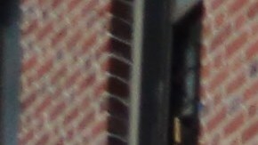 Vecinos de El Bronx visitan altar en honor a Lesandro Guzmán-Feliz, asesinado a machetazos.