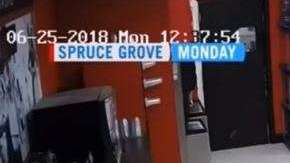 La ladrona cayó del techo, lo rompió y pidió disculpas.