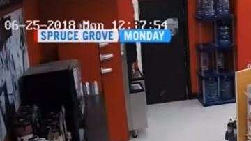 La ladrona cayó del techo, lo rompió y pidió disculpas.