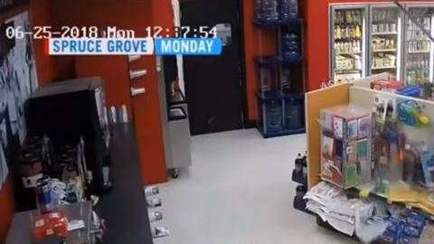 La ladrona cayó del techo, lo rompió y pidió disculpas.