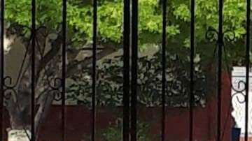 Cayó el estudiante en el patio de la escuela con la herida mortal.