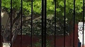 Cayó el estudiante en el patio de la escuela con la herida mortal.