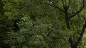 Los 43 estudiantes de Ayotzinapa desasparecieron en septiembre del 2014.