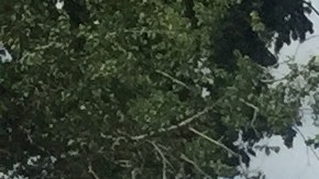 Dos de las manicuristas que participaron el martes de la manifestación por un mayor salario mínimo con propina. /A. B. N.